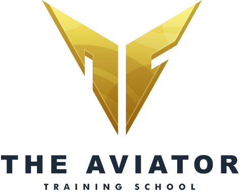 The Aviator Training School